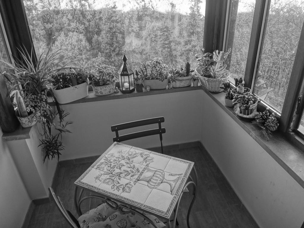 La Casetta Della Nonna バニョレージョ 部屋 写真